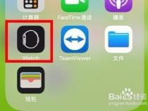 苹果手表二维码在哪里找
