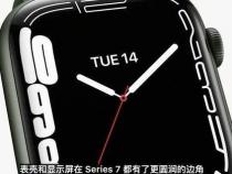 apple watch偏好手腕