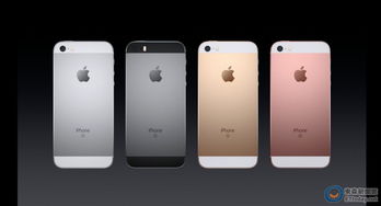 苹果手表从我的iphone镜像什么意思