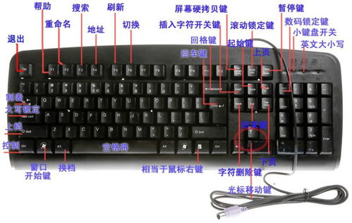 苹果键盘对应什么键：键盘上有几个键什么意思