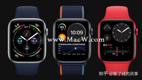 如果Apple watch出现白苹果了怎么办