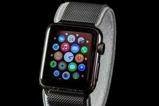 苹果手表Apple Watch激活时间怎么查询