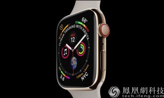 applewatch背部汗渍进入缝隙
