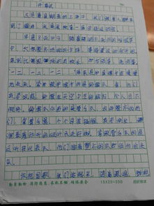 描写冬季运动会的作文
