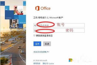 Mac苹果电脑如何下载安装并激活office2016