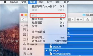 在Mac上如何操作文件复制剪切