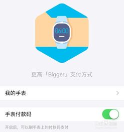 苹果Apple Watch支付宝,支付宝离线支付怎么用