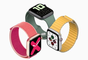 applewatch5手腕16.5cm买多大尺寸的呢,40还是44