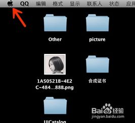 苹果电脑怎么打出功能键F1