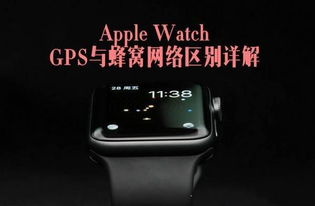 苹果手表蜂窝版支持哪些地区的4g网络