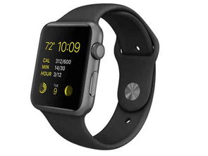 apple watch 选什么材质