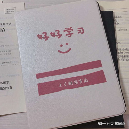 平板电脑64g够用吗
