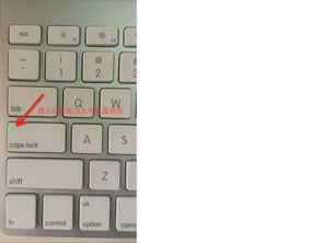 苹果电脑怎样切换大小写字母