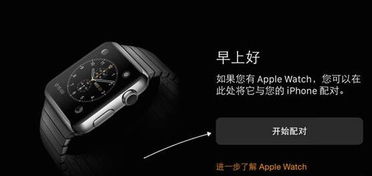 apple watch怎么配对