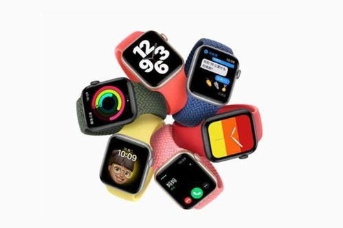 apple watch有教育优惠吗