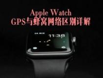 苹果手表蜂窝版支持哪些地区的4g网络