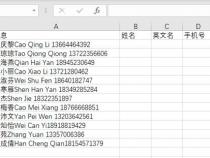 wps怎么添加diy工具箱
