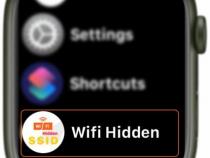 apple watch 可以连接wifi吗