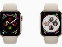 苹果手表Apple Watch怎么设置主屏应用图标