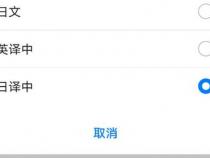 苹果ai字幕功能怎么使用的呢