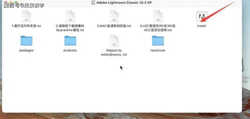 苹果电脑的lr苹果电脑安装Lr怎么安装
