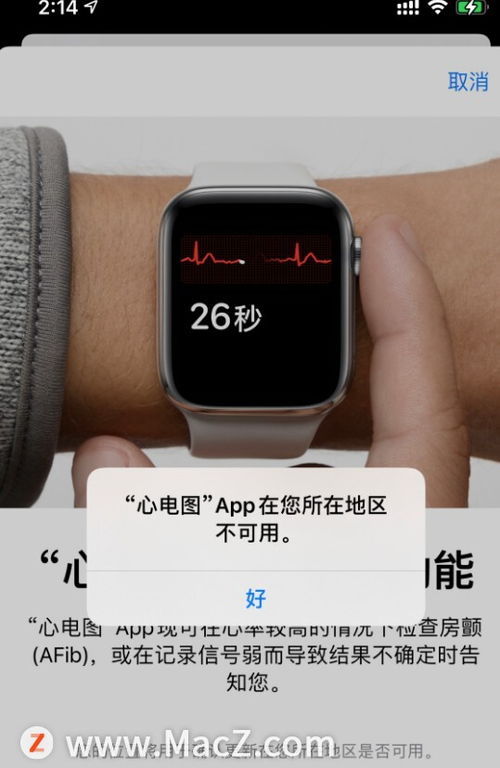 apple watch无法测试心电图怎么办