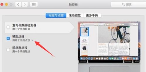 苹果鼠标右键怎么按 Mac如何开启鼠标右键