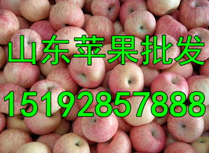山东临沂苹果产地在哪