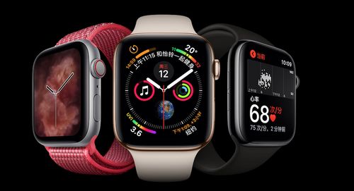 关于Apple Watch 蜂窝版功能的使用说明