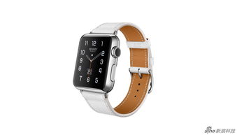 apple watch哪款表带颜色好看