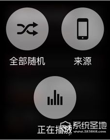 如何在Apple Watch上删除同步的音乐