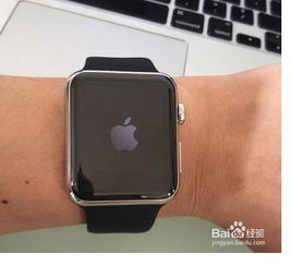 苹果手表死机重启方法