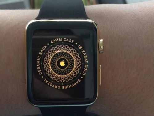 Apple Watch 哪款值得购买