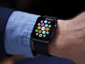 watch未找到可定位的apple设备