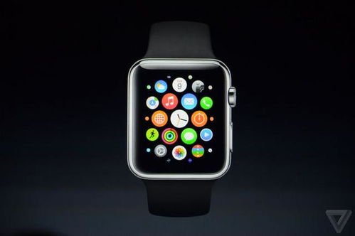 apple的手表能用几年(手表iPhone)