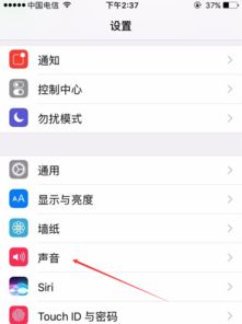 苹果手机便捷按钮在哪里设置