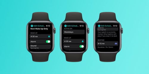 Apple Watch容量有多大