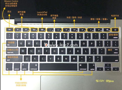 mac上的command是什么键