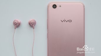 vivo手机摔了一下黑屏了怎么办