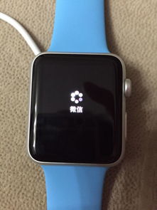iwatch更新不了