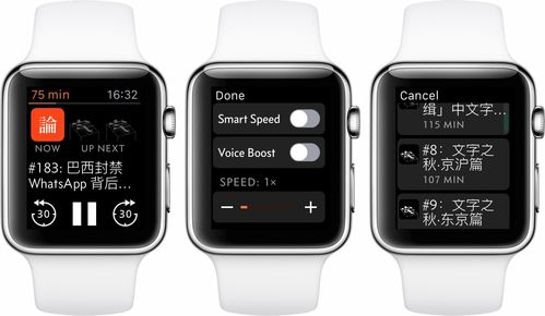 Apple Watch 上有哪些好用的 App 值得推荐