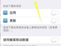 一个苹果手机是不是只能用一个ID帐号和密码