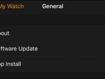 怎么在Apple Watch上下载程序