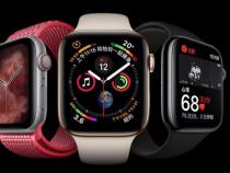 关于Apple Watch 蜂窝版功能的使用说明