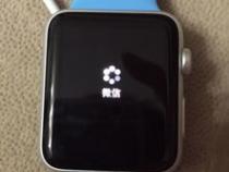 iwatch更新不了
