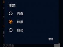 手机上有温度计功能吗