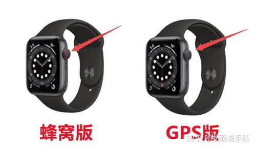 apple watch 蜂窝版与普通版有什么区别