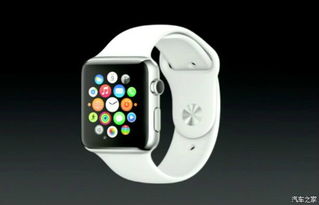 applewatch保修期为什么显示10个月