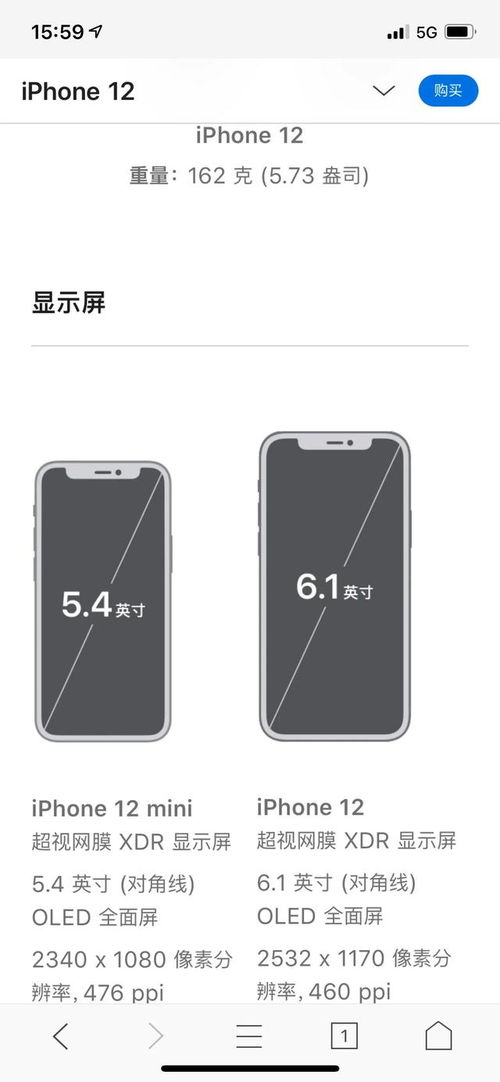 手机的屏幕尺寸是多大