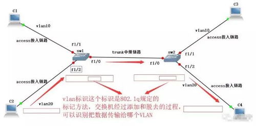 如何划分vlan